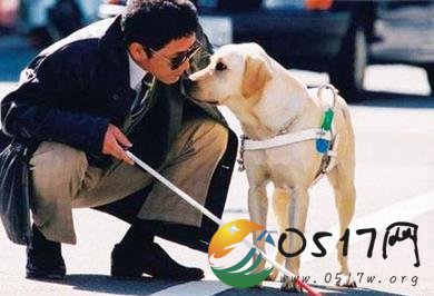 盲人带导盲犬被拒 为何会拒绝盲人带导盲犬
