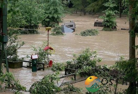 德动物园遭遇洪水 动物园成了水上世界