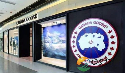 加拿大鹅推迟开业 或许与加拿大拘押中国华为高层有关
